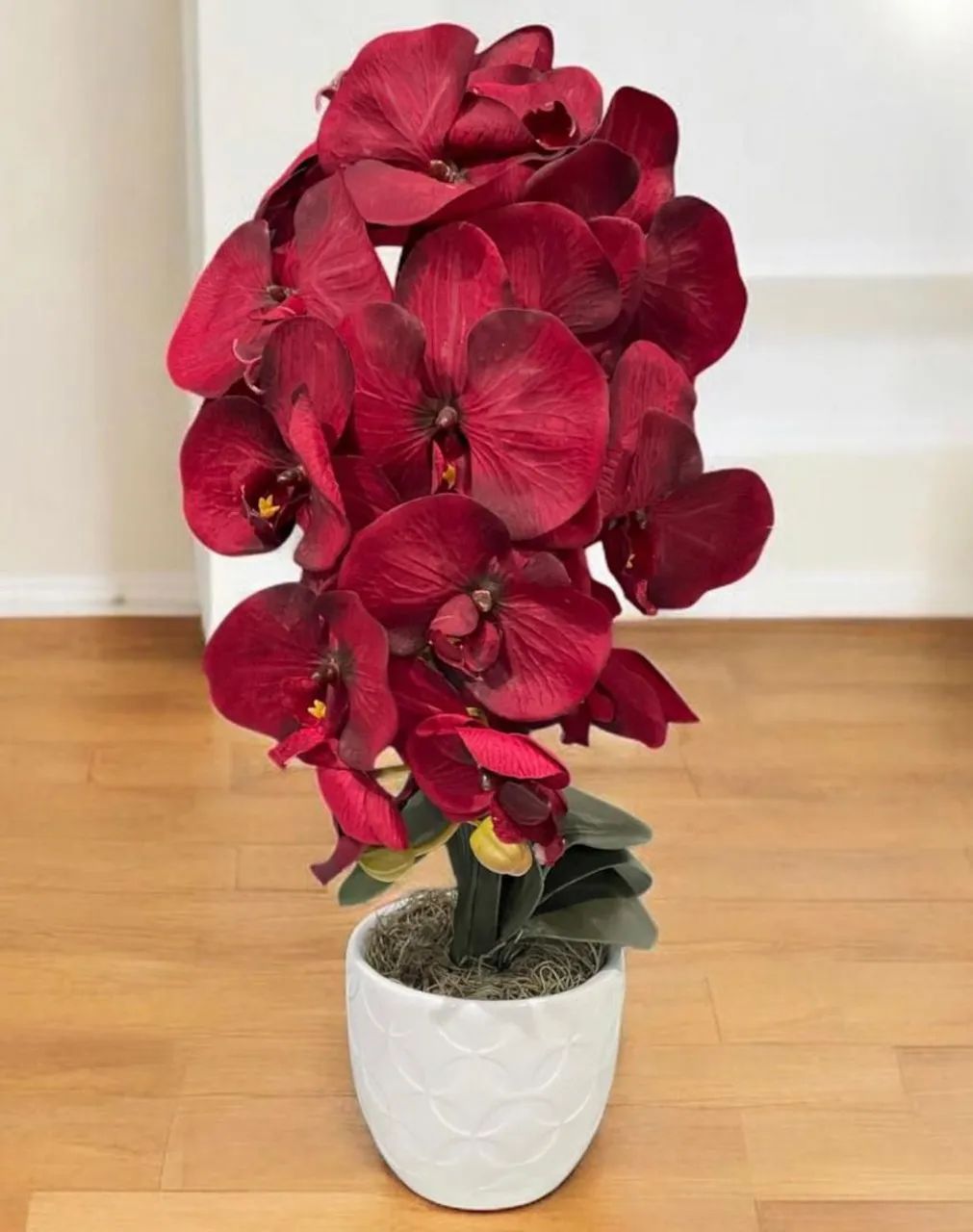 Orquídea caída 