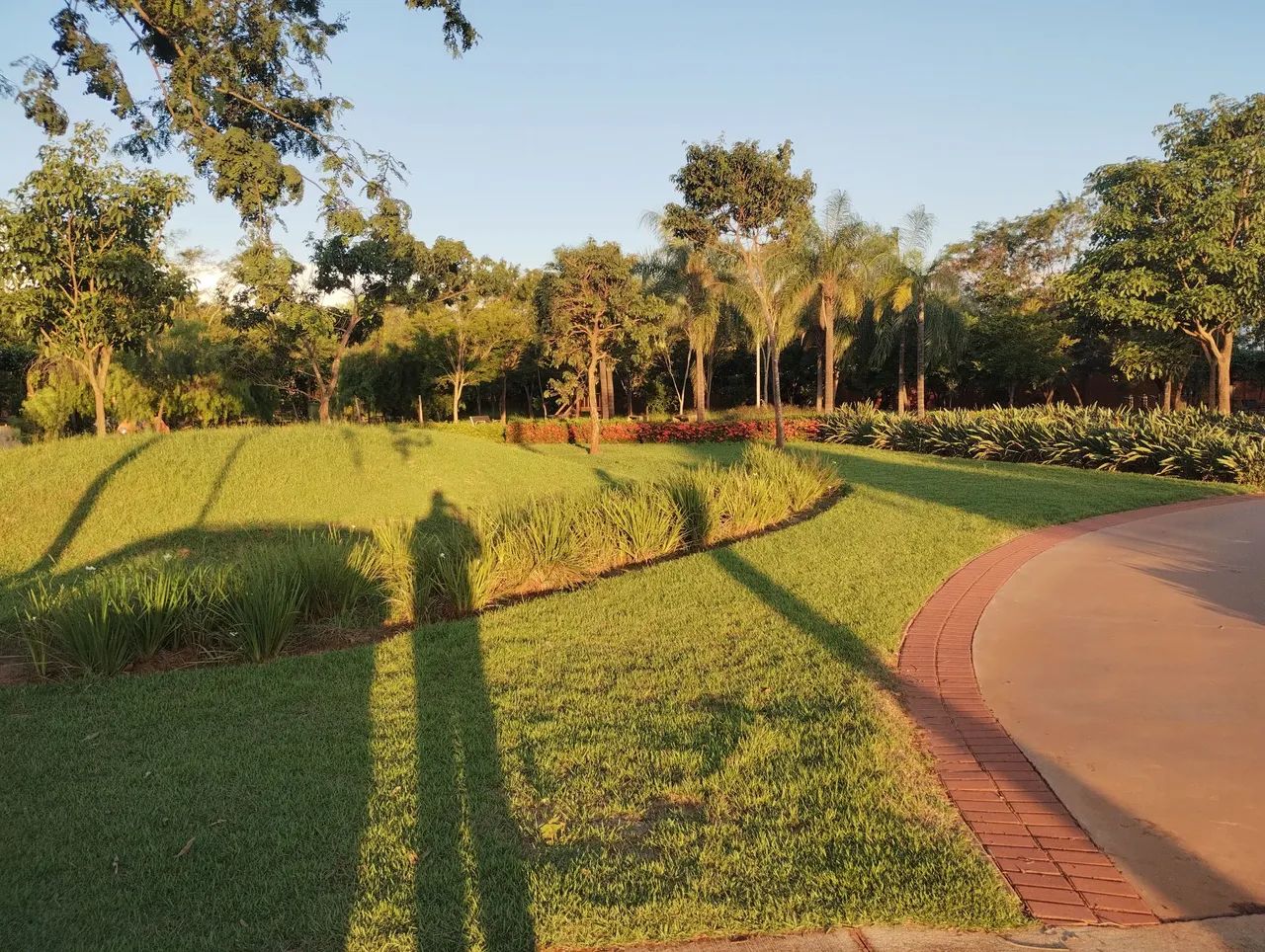 Terreno no Alphaville 2 - Araçatuba - Foto 8