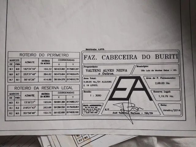 Chacara 1 alqueire e 19 litros a 4 km da cidade de slmb - Foto 3