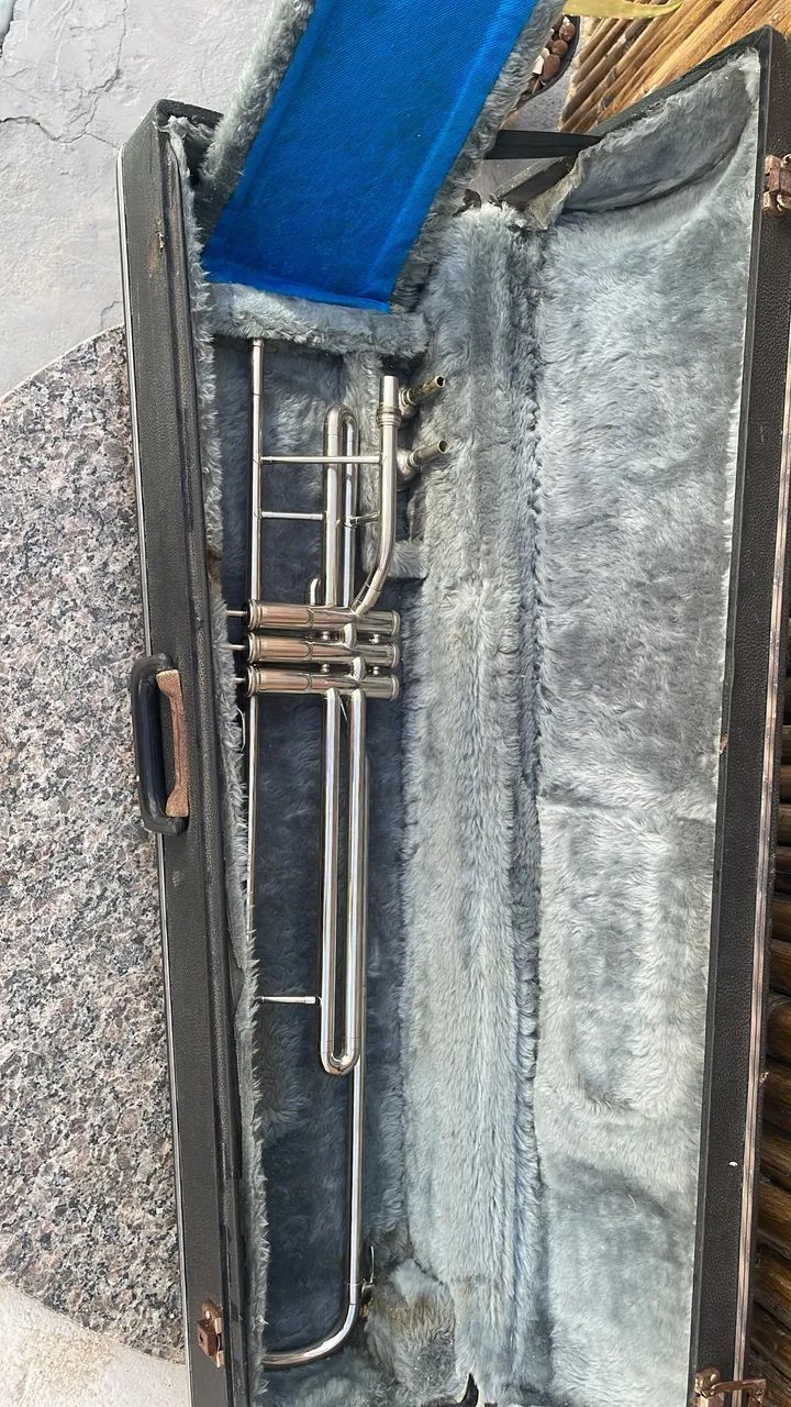 Trombone de Pisto  - Foto 5