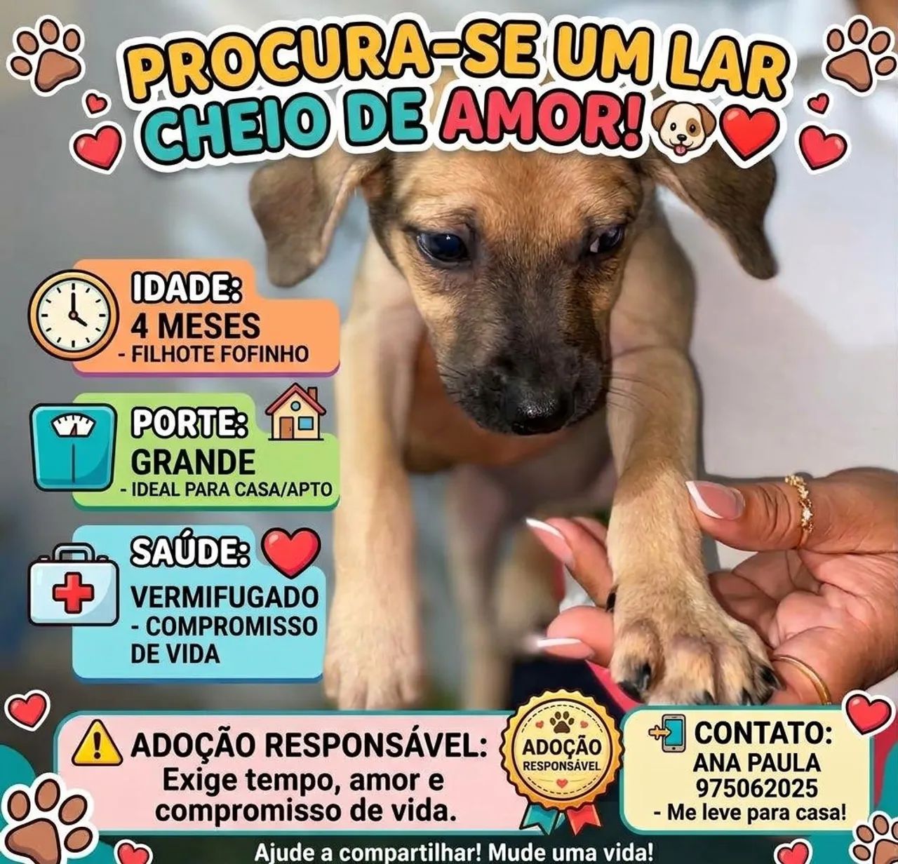 Doação  de pet - Foto 2