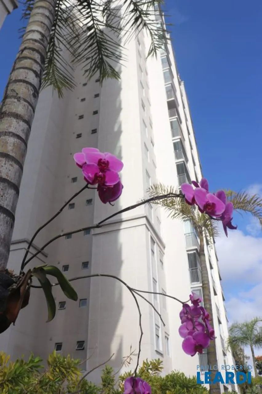 APARTAMENTO - VILA ANASTÁCIO - SP - Foto 2