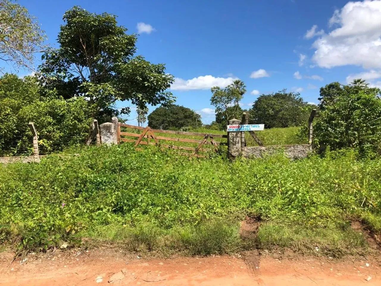 Terreno com 22 hectares no Camará - Foto 3