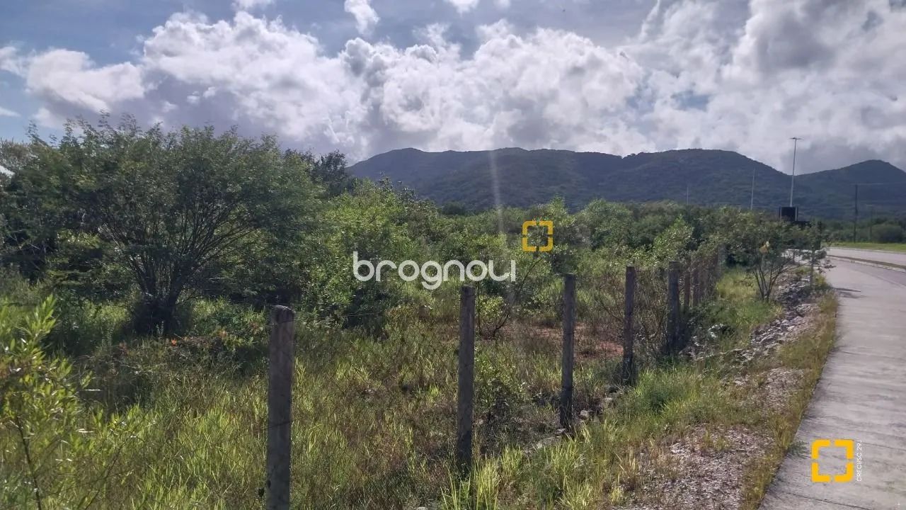 Vendo terreno com 10.911,15m² no Carianos - Foto 2