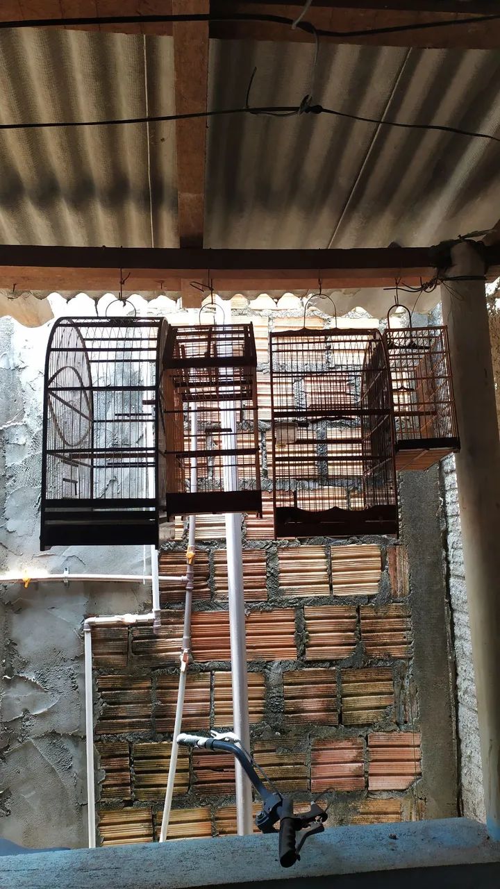 Gaiolas - Foto 2