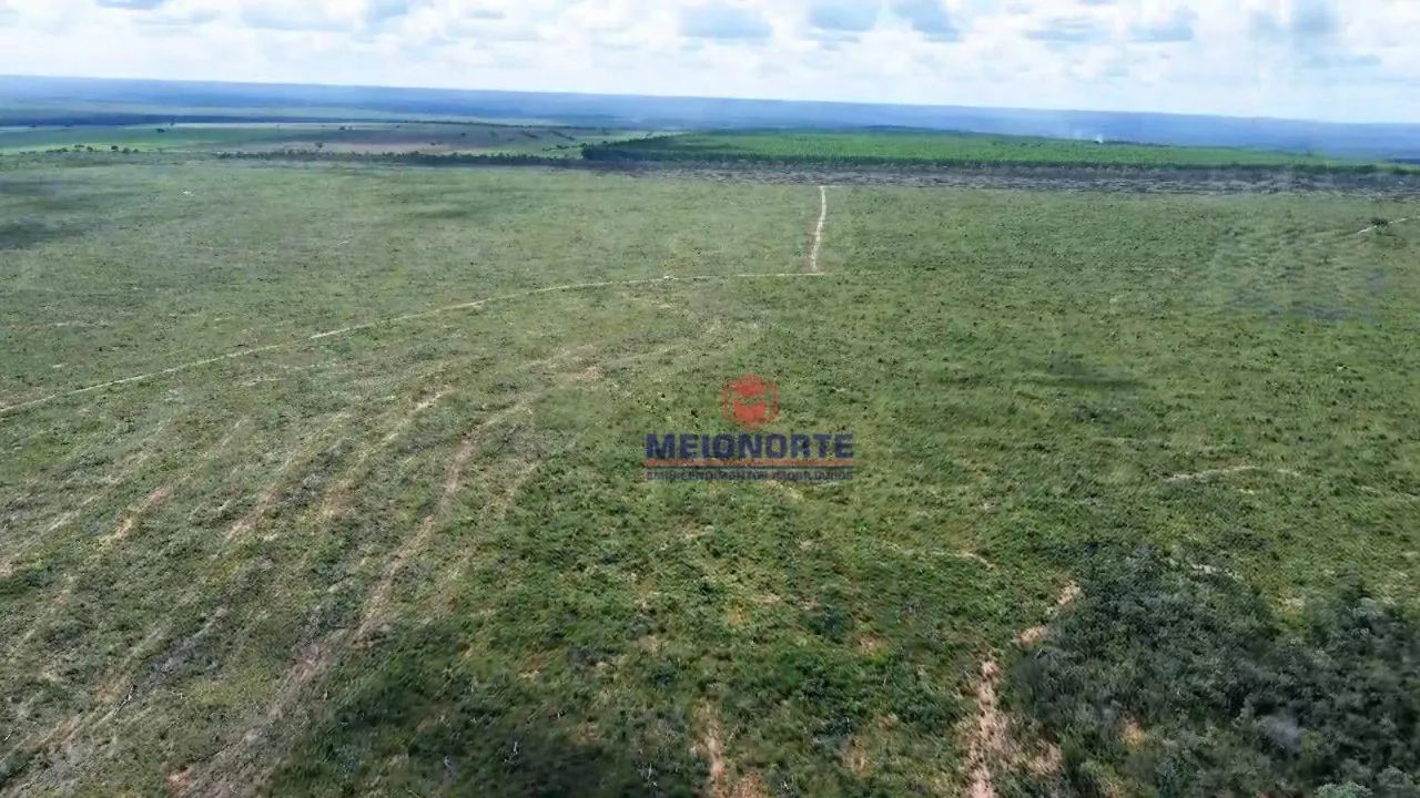 ## Fazenda Belo Monte ## - Foto 2