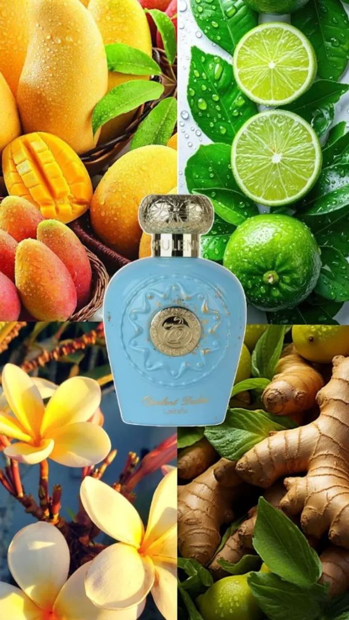 Perfume Árabe Opulent Dubai  - Foto 3