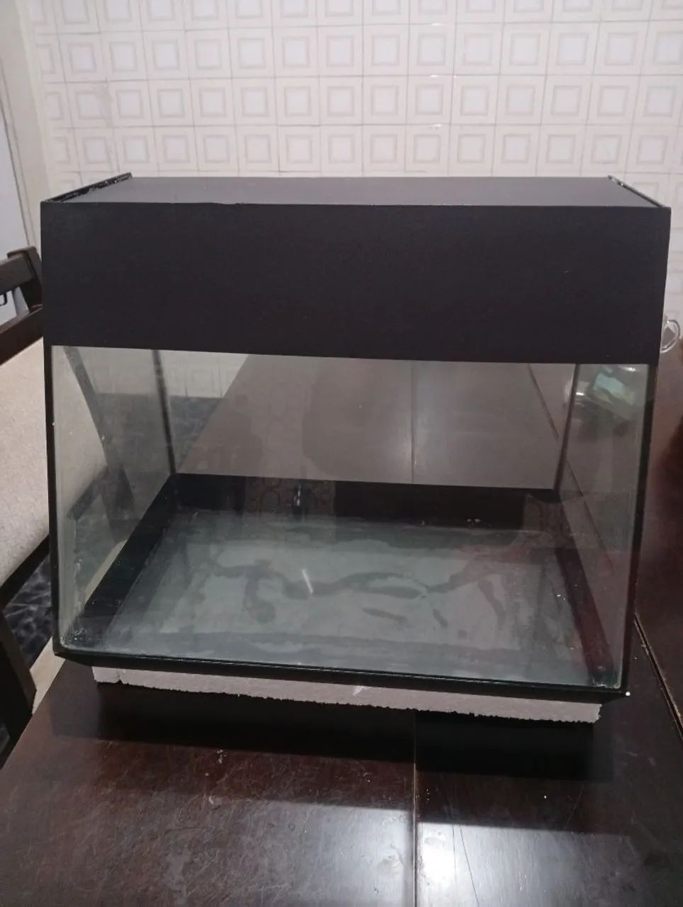 aquário   com    22 litros 