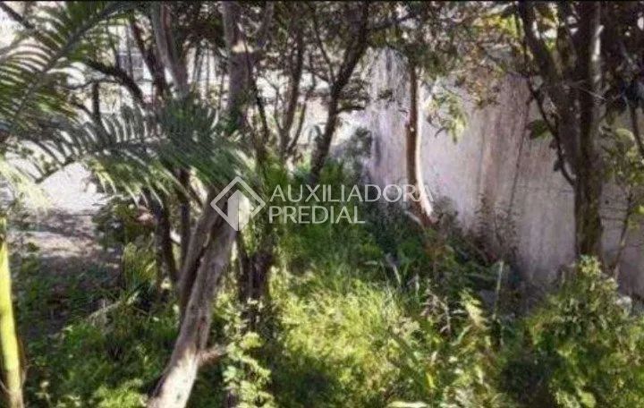 TERRENO PLANO COM 250 M² - PARQUE DOS PÁSSAROS - SÃO BERNARDO DO CAMPO - Foto 2