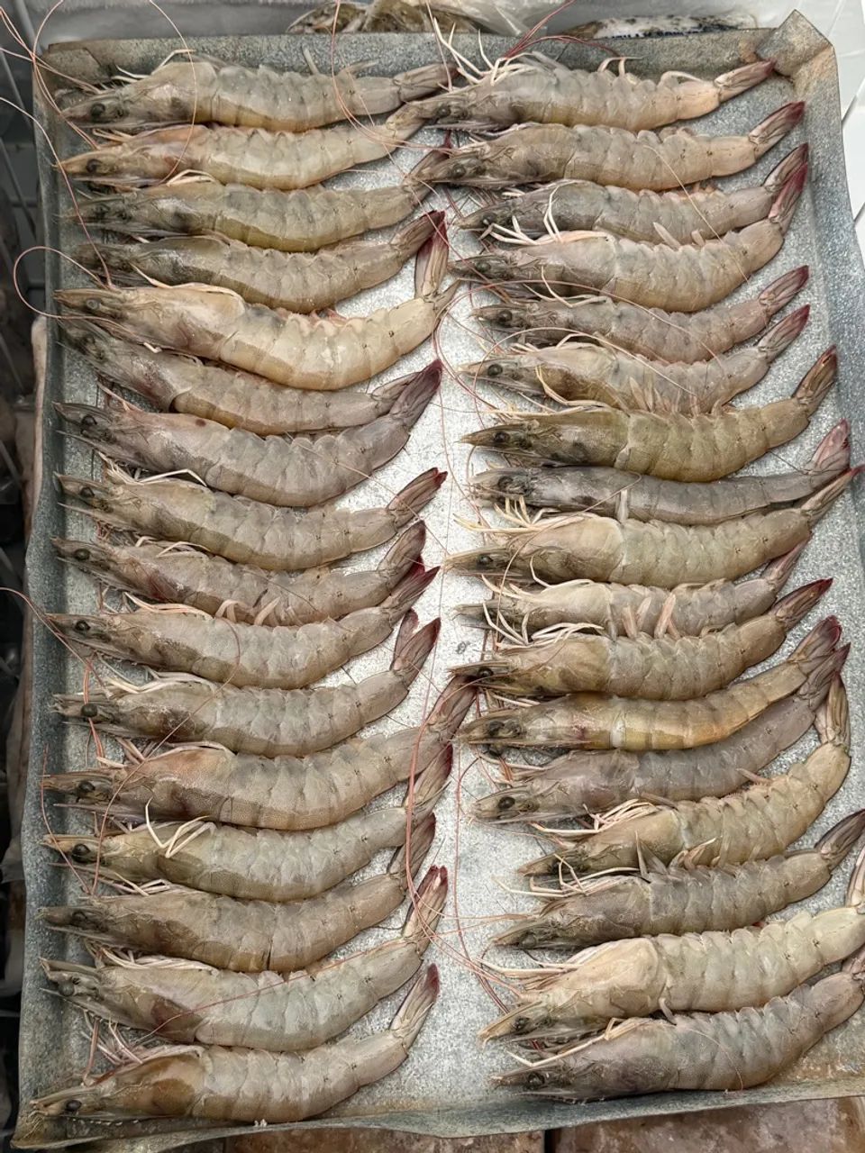 CAMARÃO DE ÁGUA SALGADA - R$67,90 - Foto 4