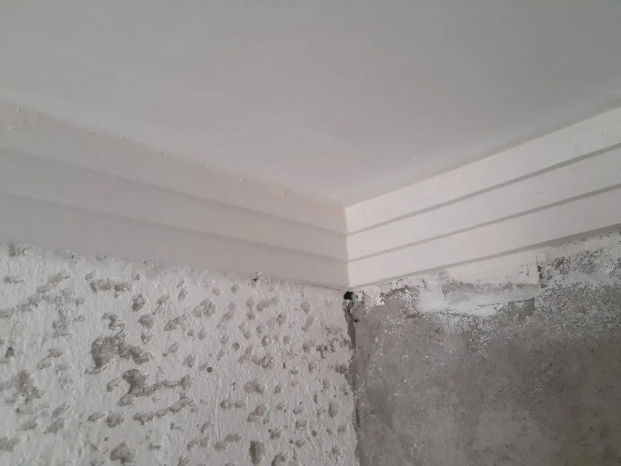 Gesseiro e marido de aluguel  - Foto 4