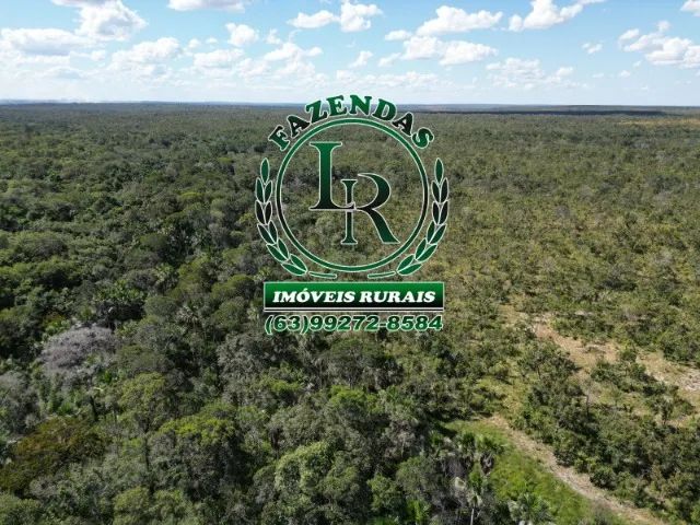 Oportunidade Fazenda Bruta Tocantins 117 alqueires. - Foto 4