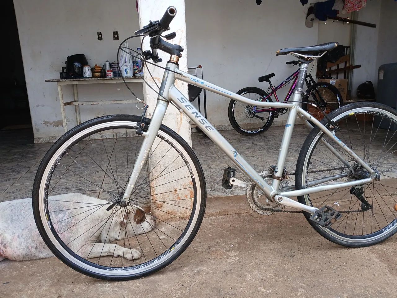Bicicleta 