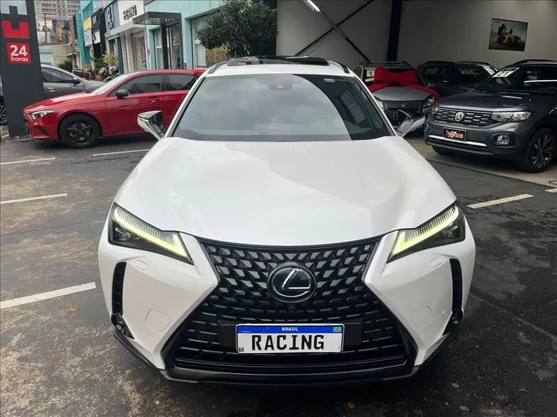 Lexus UX-250h Luxury 2.0 16V Aut.(hybrid), foto 2 de 13