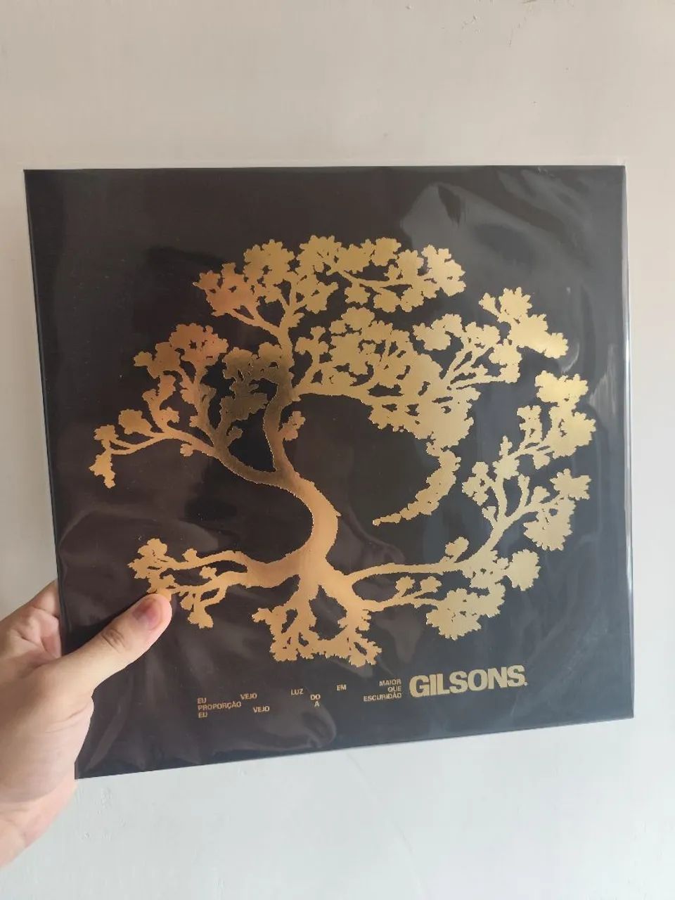Disco de vinil (LP) - Gilson