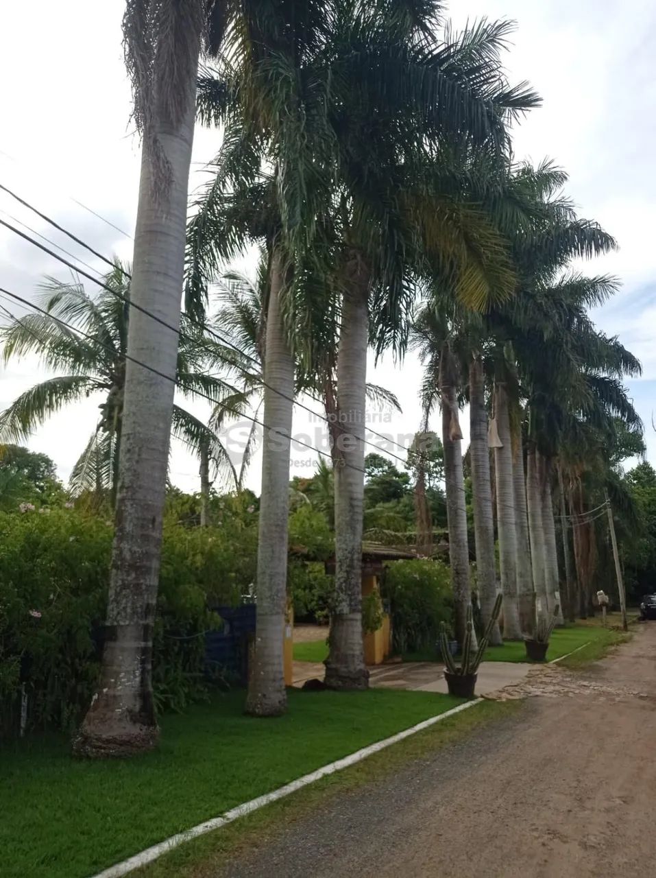 chácara - Barão Geraldo - Campinas - Foto 3