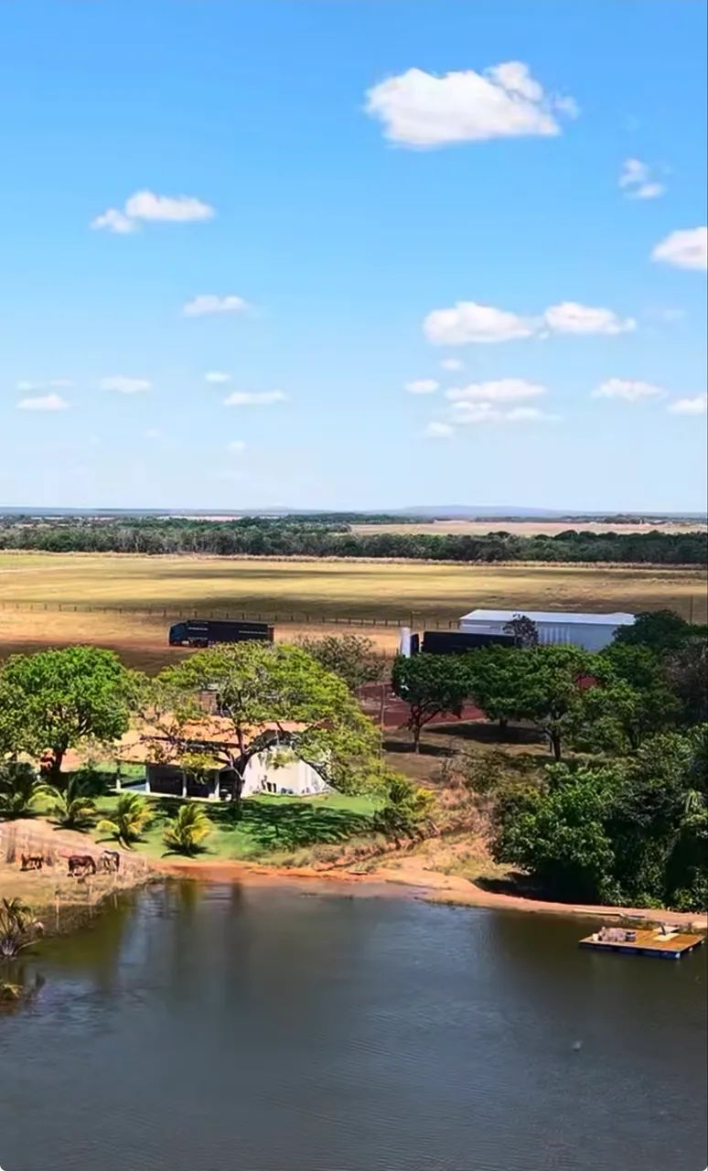 Fazenda no sul do Tocantins  - Foto 2