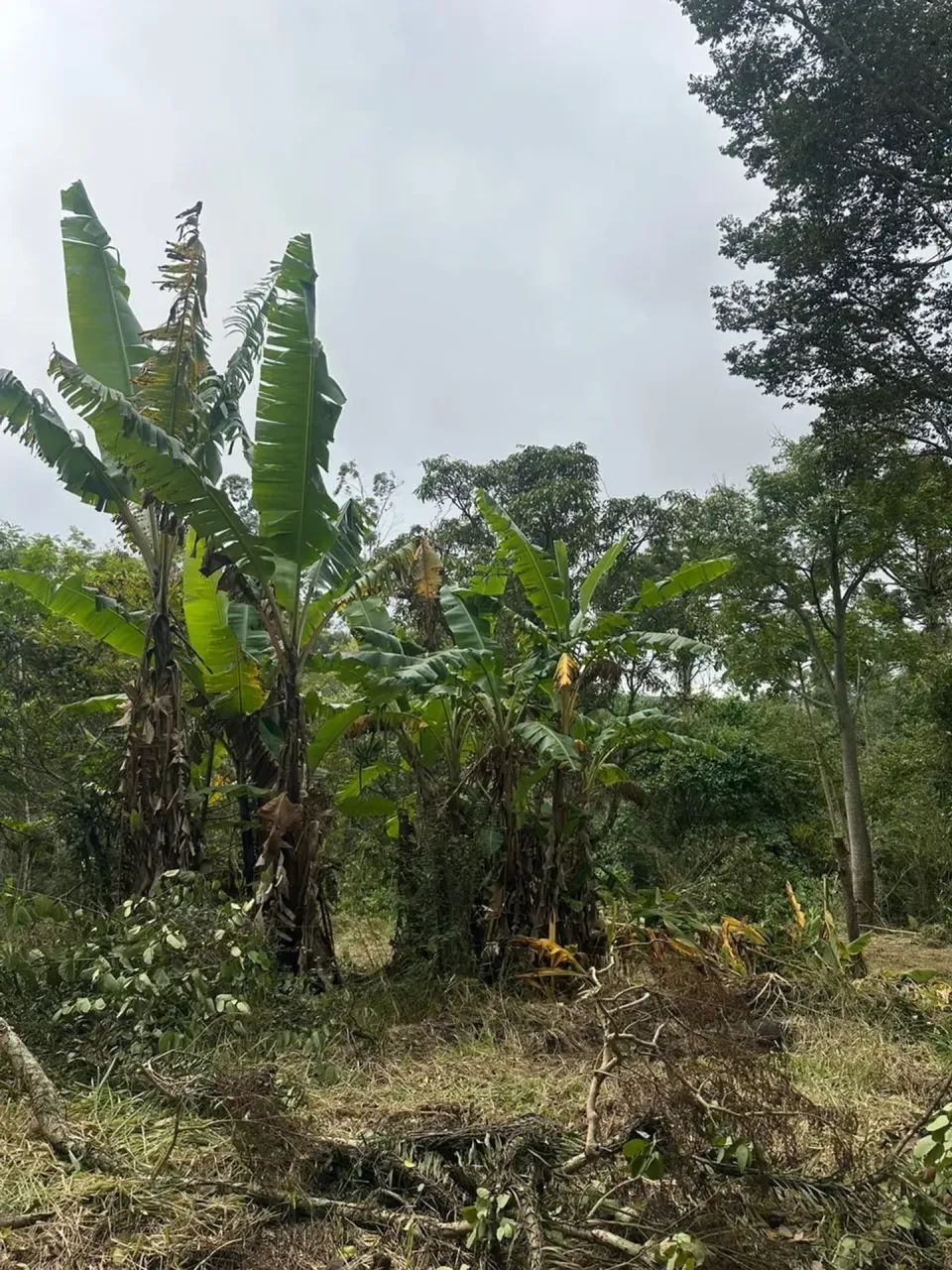 Lote 1000m² em Mairinque Fácil Acesso - Foto 5