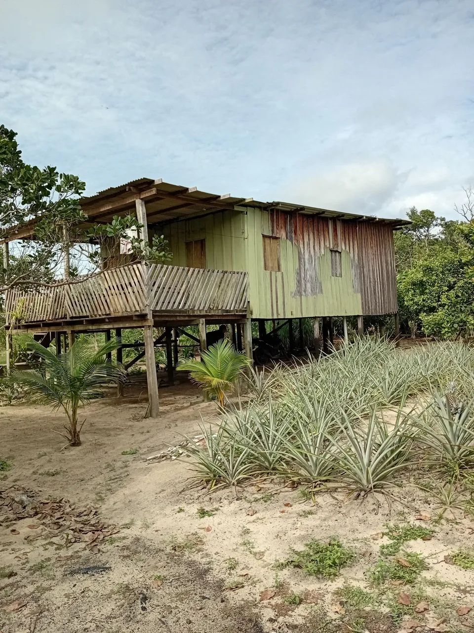 Sitio - Foto 5