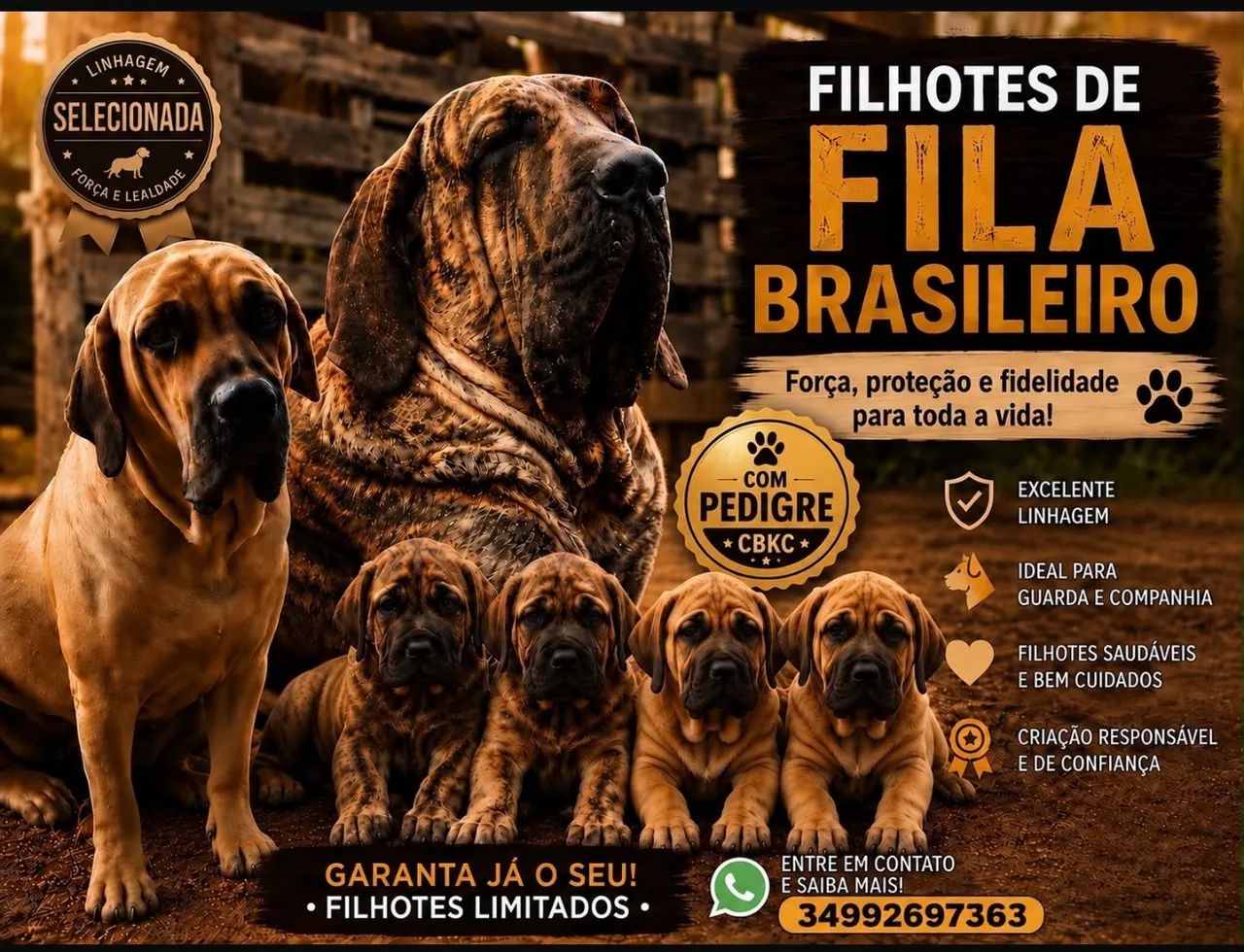 Fila Brasileiro 