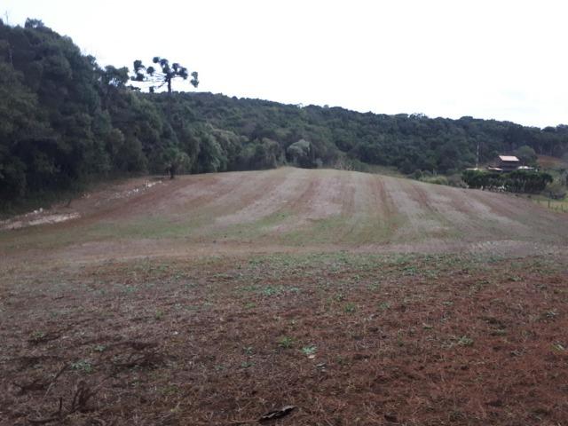 Chacara com 36.000m² juruqui - Foto 13