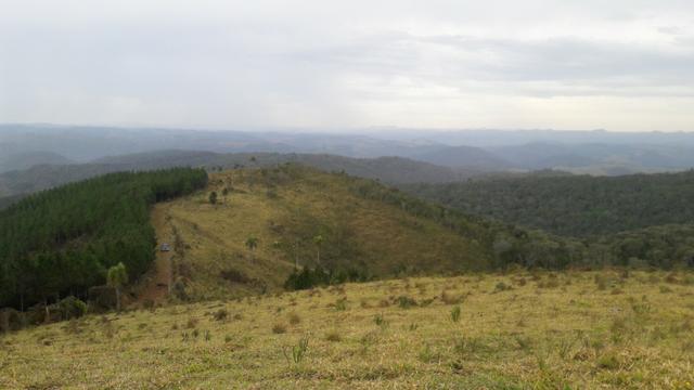 Fazenda com 663 alqueires em campo largo - Foto 11