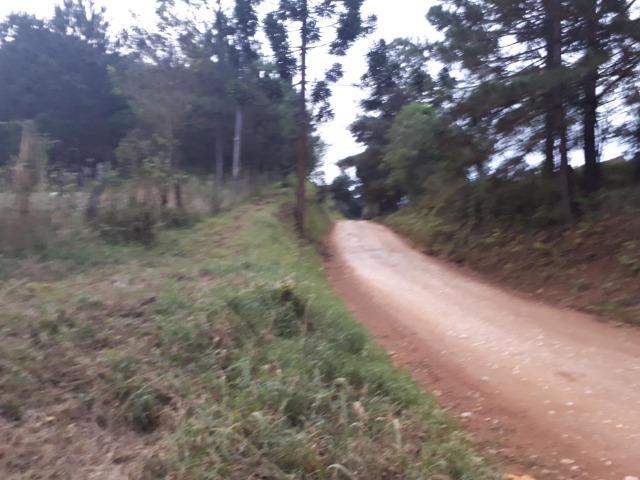 Chacara com 36.000m² juruqui - Foto 4