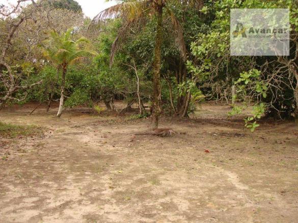 Chácara com 3 dormitórios à venda, 20000 m² por R$ 500.000,00 - Carne de Vaca - Goiana/PE - Foto 15