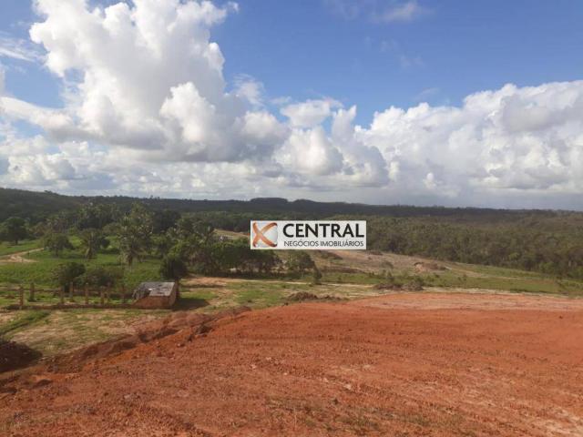 Fazenda à venda, 834268 m² por R$ 800.000,00 - Zona Rural - Mata de São João/BA - Foto 3