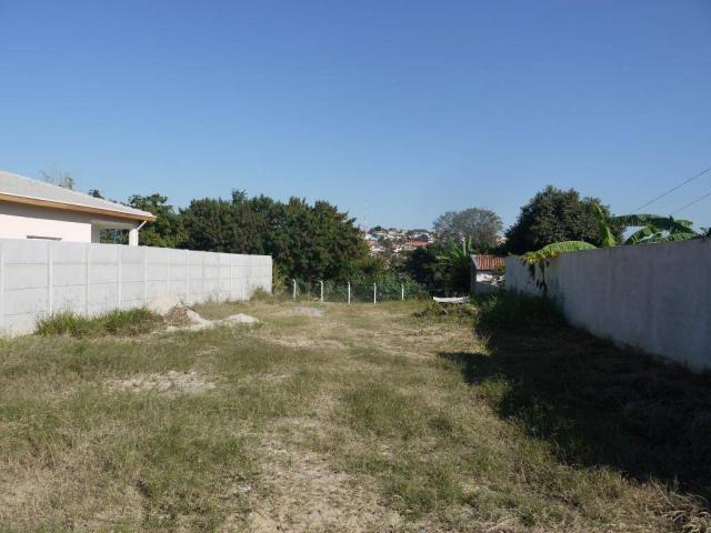 Terreno residencial para locação, Vila Santa Rita, Guaratinguetá. - Foto 6