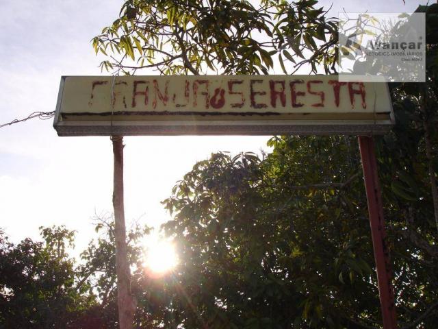 Chácara com 3 dormitórios à venda, 20000 m² por R$ 500.000,00 - Carne de Vaca - Goiana/PE - Foto 2