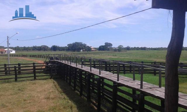 FAZENDA PARA GADO DE 14.950 HECTARES NA REGIÃO DE POCONÉ-MT - Foto 7
