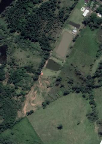 Sítio de 2,5 hectares - Foto 7