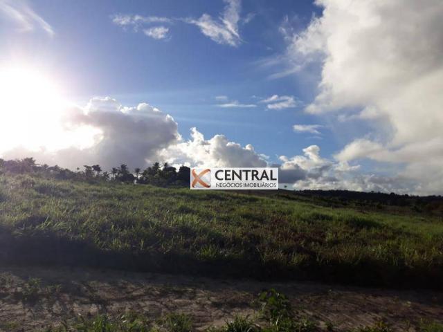 Fazenda à venda, 834268 m² por R$ 800.000,00 - Zona Rural - Mata de São João/BA - Foto 16