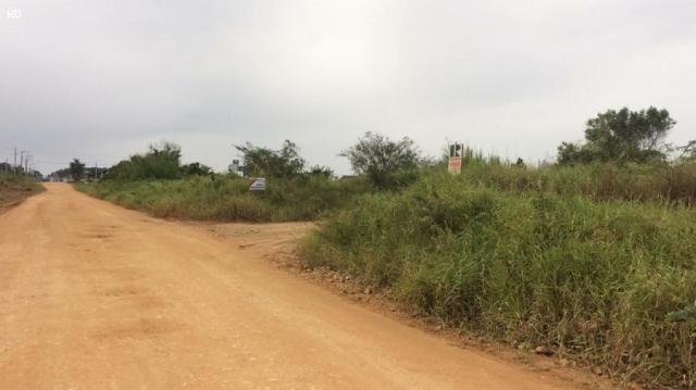 Terreno para venda em barra velha, itajuba - Foto 4
