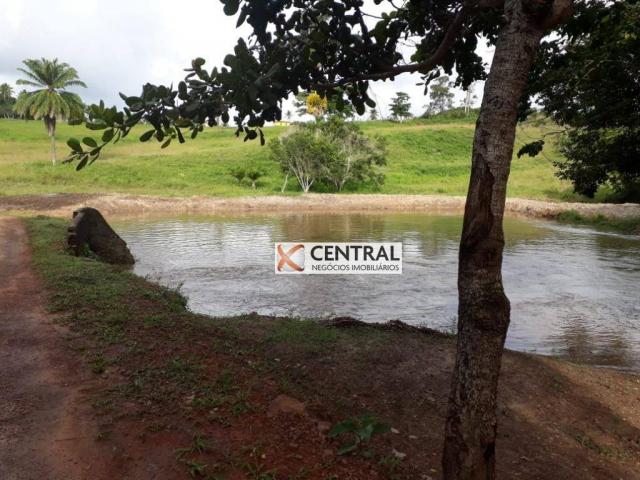 Fazenda à venda, 834268 m² por R$ 800.000,00 - Zona Rural - Mata de São João/BA - Foto 17