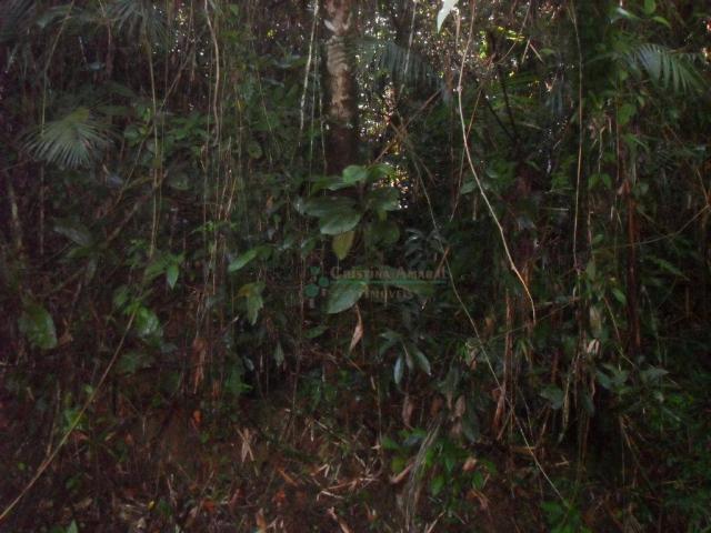 Terreno residencial à venda, Vargem Grande, Teresópolis. - Foto 17