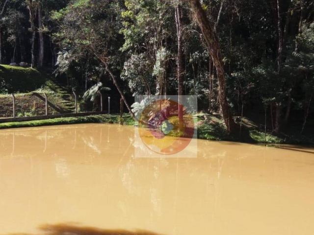 Chácara à venda, 10000 m² por R$ 650.000 - Zona Rural - Fazenda Rio Grande/PR