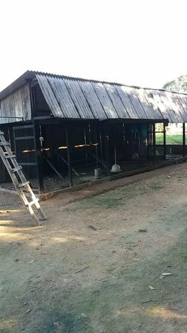 Vendo pesqueiro maravilhoso! - Foto 9