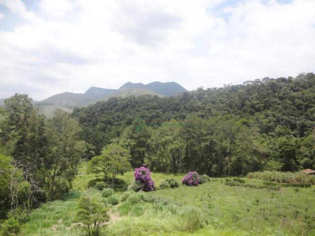Sitio com 780.000 m² por R$ 1.150.000 - Ponte Nova - Teresópolis/RJ - Foto 15