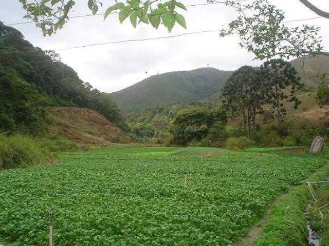 Área rural à venda, Providência, Teresópolis.
