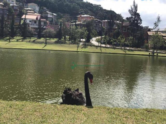 Terreno residencial à venda, Vargem Grande, Teresópolis. - Foto 13