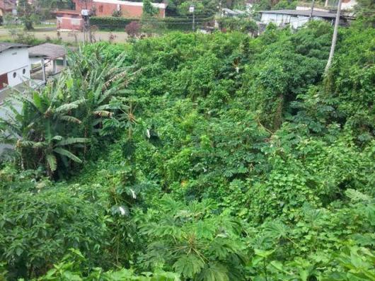 Terreno residencial à venda, Parque do Ingá, Teresópolis. - Foto 5
