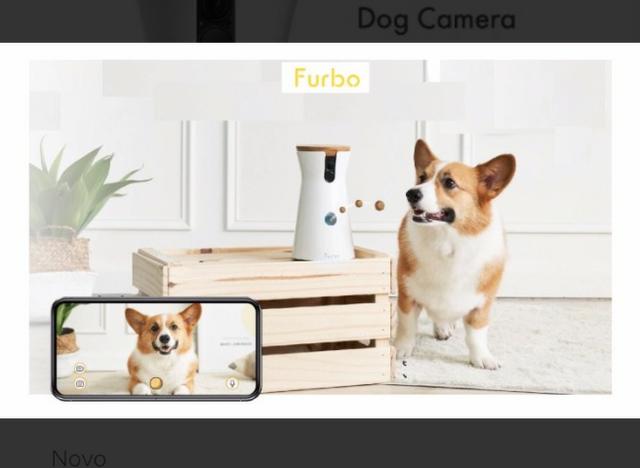 Furbo - Câmera para Cachorro - Foto 3