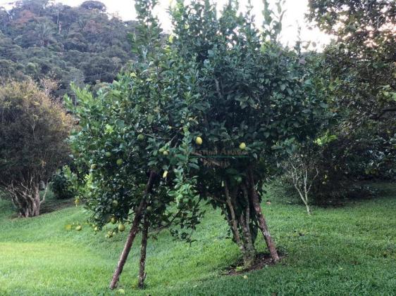 terreno na AMAVALE Raridade - Foto 16