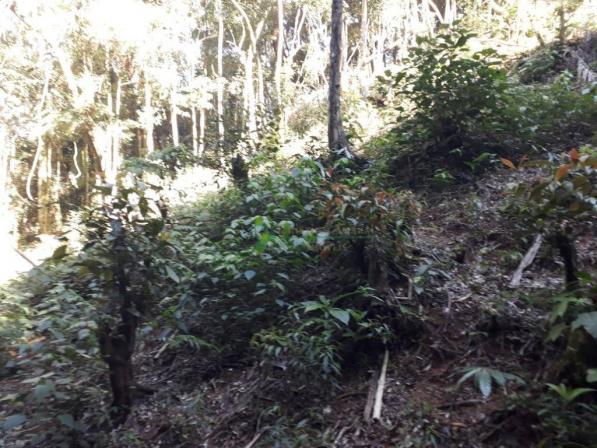 Terreno à venda, 5400 m² - Carlos Guinle - Teresópolis/RJ - Foto 3