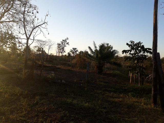Sítio muito bom - Foto 6