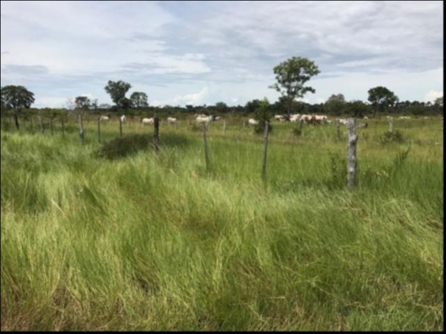 Fazenda no Fazenda em Santo Antonio do Leverger - Foto 3