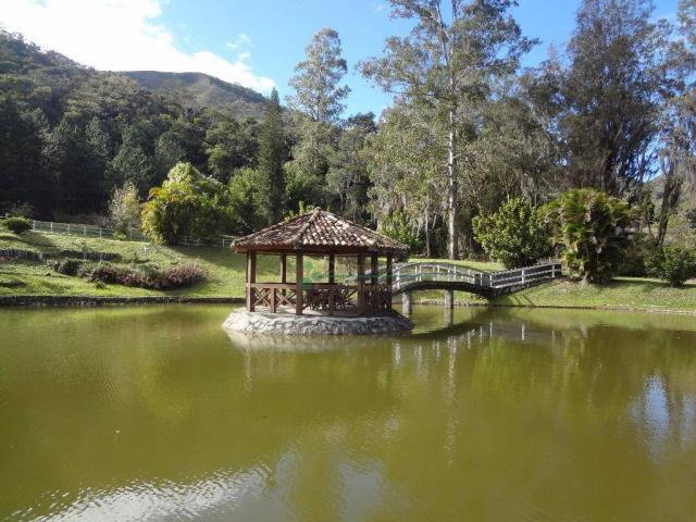 Sítio rural à venda, Córrego das Pedras, Teresópolis. - Foto 4