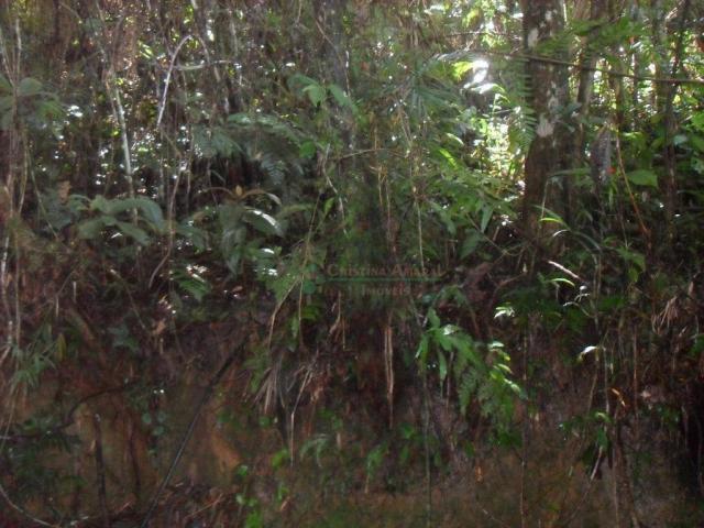 Terreno residencial à venda, Vargem Grande, Teresópolis. - Foto 19